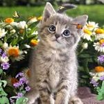 Profile Picture of Cecilia Hicks (@ceceicks5) on Instagram