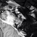 Profile Picture of Mark Hellige (@mark4374) on Pinterest