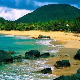 Profile Picture of Atefmahmoud (@AtefMahmoud190) on Twitter