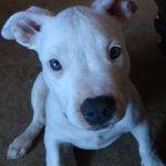 Profile Picture of Kevin Trexler (@n2one2) on Instagram