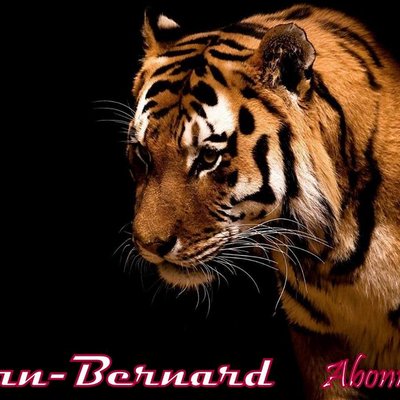 Profile Picture of Bernard Ryan (@Bernardryan19) on Twitter