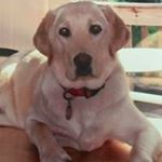 Profile Picture of Nancy Manley (@spryhiker) on Instagram