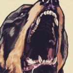 Profile Picture of Jesse Frey (@jessefrey203) on Instagram