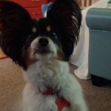 Profile Picture of Mike Hendel (@gopchemo) on Twitter