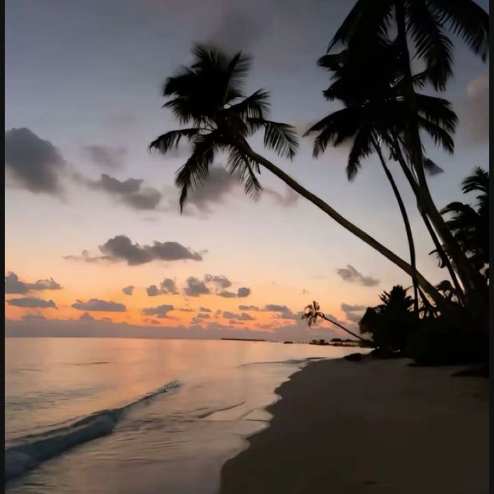 Profile Picture of Everly😴 (@everly_457) on Tiktok