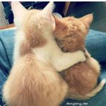 Profile Picture of Fatima Farooq (@fatimafarooq1990) on Instagram