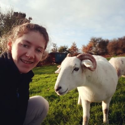 Profile Picture of Beth Reilly (@BrReilly2) on Twitter