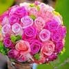 Profile Picture of Bhaskar Mehta (@bhaskarmehta7) on Tiktok