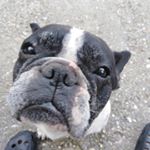 Profile Picture of Martin Matula (@martin_matula_yotuber) on Instagram