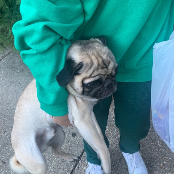 Profile Picture of Ivy Sosa (@urhot) on Poshmark