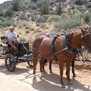 Profile Picture of RICHARD SMOLENSKI (@HACKBERRYCOWBOY) on Twitter