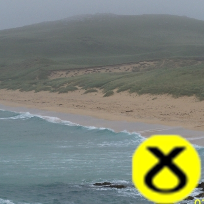 Profile Picture of Nancy Ross (@nancyross10) on Twitter