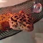 Profile Picture of Luke (@lukehaas527) on Instagram