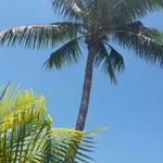 Profile Picture of Lisa (Cappelli) Barone (@lisabar2) on Instagram