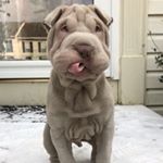 Profile Picture of Danny Hauser (@jackd1012) on Instagram