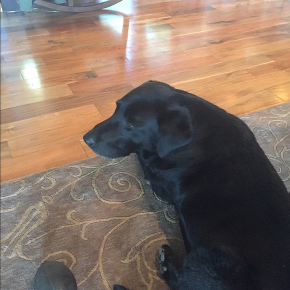 Profile Picture of Carol Carrothers (@carolc60) on Poshmark