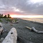 Profile Picture of Derek & Danielle Wilkins (@islandproperfoodco) on Instagram