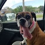 Matt Burgin - Instagram Profile Picture of Matt Burgin (@motthole) on Instagram