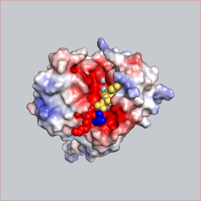 Profile Picture of William Lane, MD, PhD (@bloodantigens) on Twitter