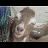 Profile Picture of daniel oravec (@@dantheman9713) on Tiktok