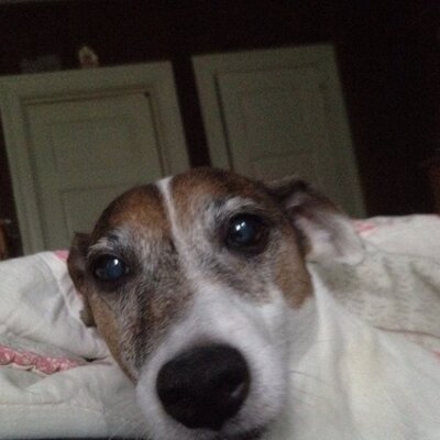 Profile Picture of Susan Sanders (@noseyJRT) on Twitter