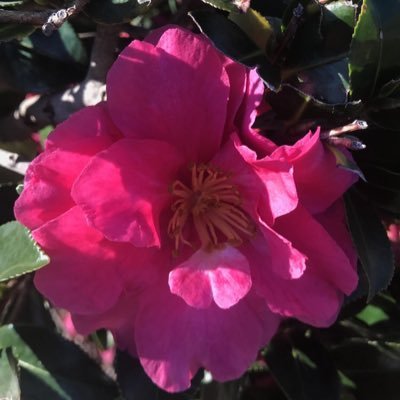 Profile Picture of Selfluvhunn (@LucyProctor14) on Twitter