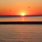 Profile Picture of Paula Timmler (@Paula-Timmler) on Facebook