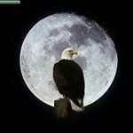 Profile Picture of Rogelio Damian (@rogeliodamian) on Instagram