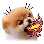 Profile Picture of jeremy hui (@jear_bear__) on Instagram