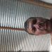 Profile Picture of Alberto Wuest (@alberto.wuest.1) on Facebook