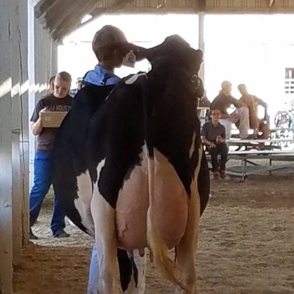 Profile Picture of Jacob Eggink (@jle23) on Poshmark