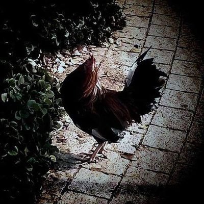 Profile Picture of Ben Berger (@ben0keo) on Twitter