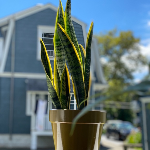 Profile Picture of Kayla Cuttitta (@kaycuttitta) on Poshmark