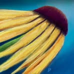 Karen Shillington - Facebook Profile Picture of Karen Shillington (@karen.shillington.9) on Facebook