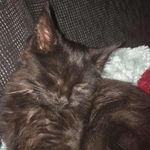 Profile Picture of IdaMelander (@idamelander09) on Instagram