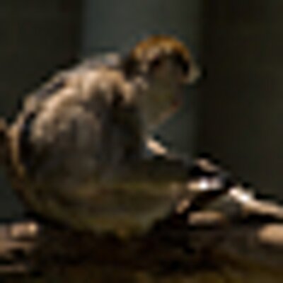 Profile Picture of Jason Godfrey (@godfreja) on Twitter