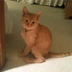 Profile Picture of Chipford Claudio (@chipford.claudio) on Facebook