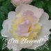 Profile Picture of Barbara Conn (@barbara.conn.1238) on Facebook