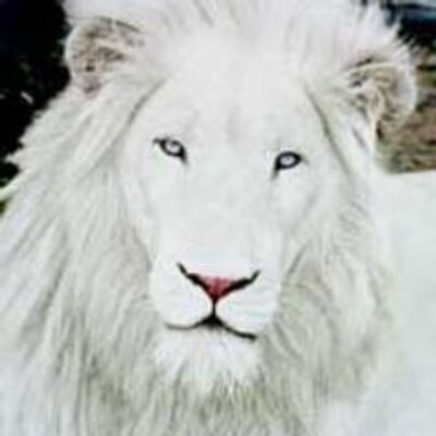 Profile Picture of Juan Climaco (@juan_climaco) on Twitter