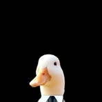 Profile Picture of Grant Duk (@Grant-Duk) on Facebook