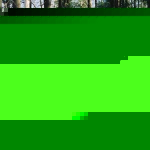 Profile Picture of Bruce Scharfenberg (@289664163) on Myspace