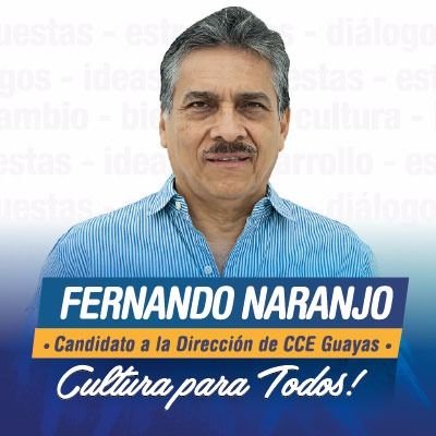 Profile Picture of Fernando Naranjo (@fernaranjoe) on Twitter