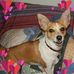 Profile Picture of Wanda Holt (@wanda.holt.37) on Facebook