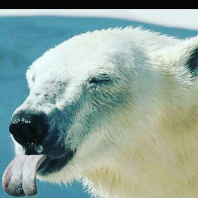 Profile Picture of Dustin Richter (@DustinRichter5) on Twitter