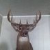 Profile Picture of David Hummel (@david.hummel.566) on Facebook