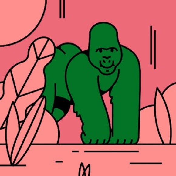 Profile Picture of Bailee Haaf (@bhaaf01) on Poshmark