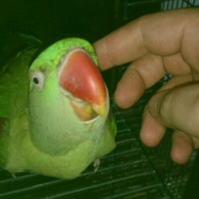 Profile Picture of Mark Knott (@mark_knott) on Twitter