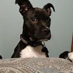 Profile Picture of Scott Wert (@mr.schmoopy) on Instagram