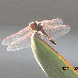 Profile Picture of Eric Dean Somers (@ESomers777) on Twitter