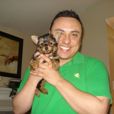 Profile Picture of Javier Olivarez (@jso9700) on Twitter